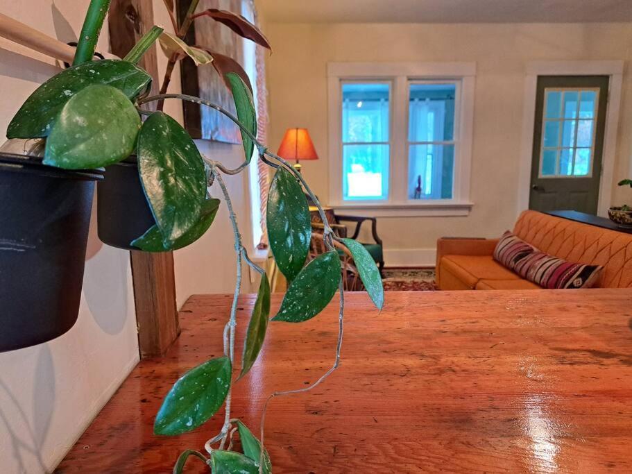 Blue Dog Accommodations Eastend Zewnętrze zdjęcie